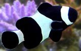 2014-30-01-13-01-43-615-459-24-f_1740